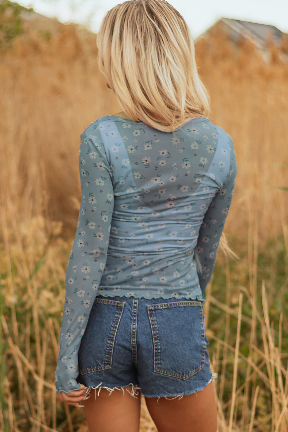 Sky Blue Vintage Floral Print Southern Style Mesh Long Sleeve Top - Image 2