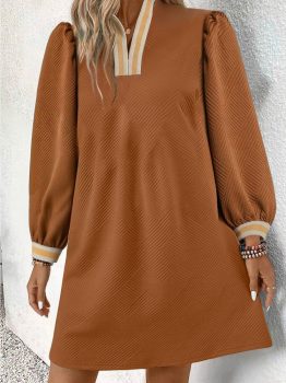 Chestnut Textured Contrast Striped Split Neck Long Sleeve Shift Mini Dress