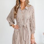 Brown Stripe Knot Waist Puff Sleeve Button Down Mini Shirt Dress