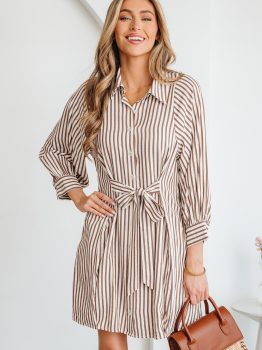 Brown Stripe Knot Waist Puff Sleeve Button Down Mini Shirt Dress