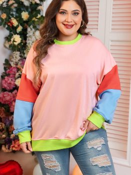 Light Pink Plus Size Colorblock Patchwork Crew Neck Sweatshirt