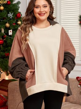 Brown Exposed Seam Colorblock Plus Size Hoodie